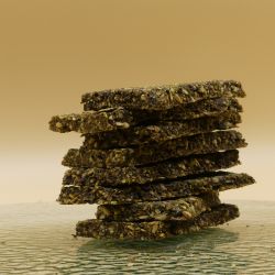 Bio - Sauerkrautknäcke mit Shiitake